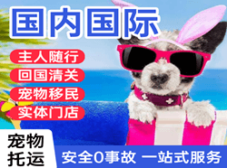 太原航空运输国际宠物托运 【国